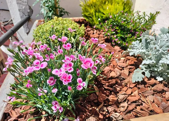 Ht Miribilla Turisticas Con Banos Compartidos Sin Ascensor *