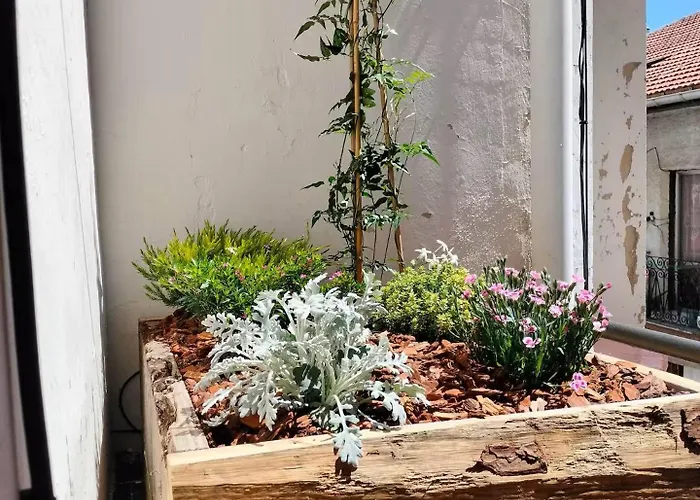 Homestay Ht Miribilla Turisticas Con Banos Compartidos Sin Ascensor